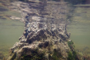 Sharp underwater rock  clipart