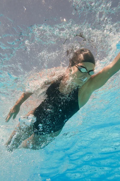 Idrettsutøver som svømmer i svømmebasseng – stockfoto