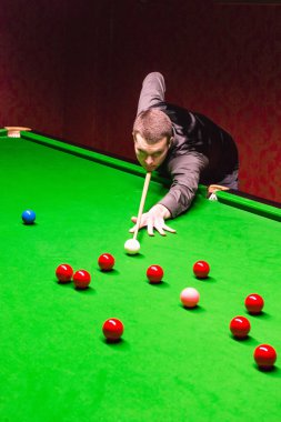 Profesyonel snooker oyuncusu
