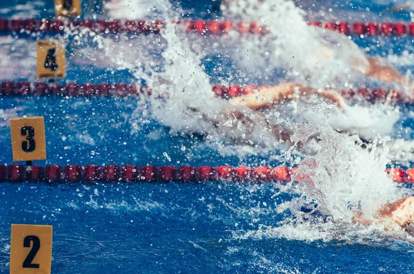Nadadores profissionais no campeonato — Fotografia de Stock