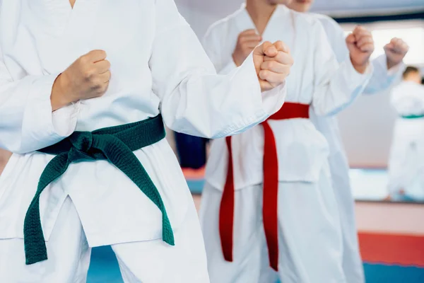 Niños durante el entrenamiento de artes marciales —  Fotos de Stock