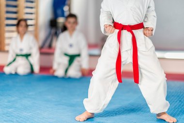 duruş mücadelede taekwondo çocuk 