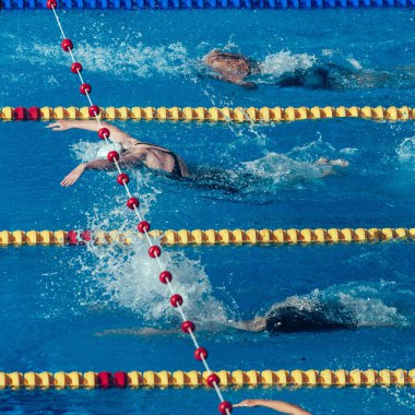 yüzücüler sportswomen Yarışması