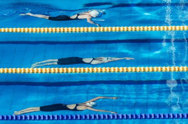 yüzücüler sportswomen Yarışması