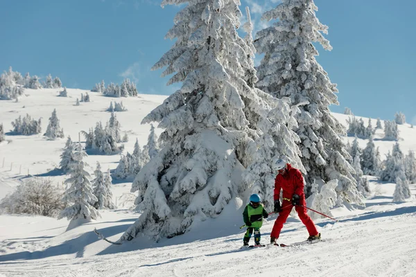 Отец и сын Катание на лыжах — стоковое фото