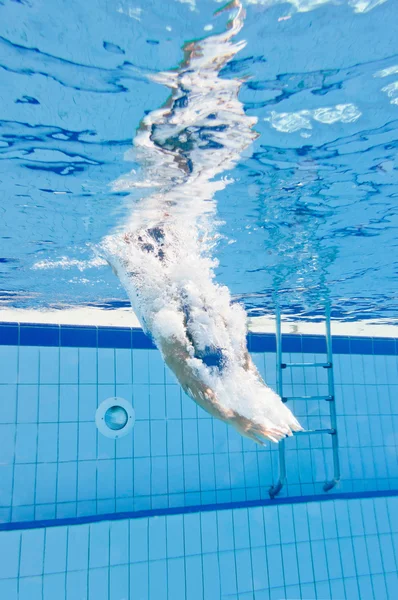 Mulher mergulha na piscina — Fotografia de Stock