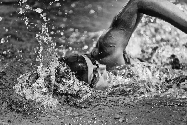 Atleta feminino nadando — Fotografia de Stock