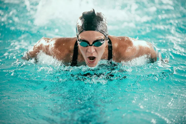 Vlinderslag zwemmen kampioen — Stockfoto