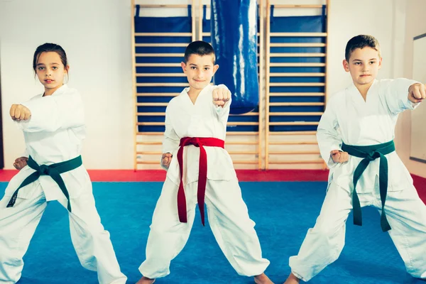 Niños en Taekwondo luchando contra la postura —  Fotos de Stock