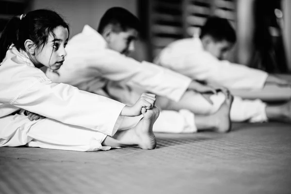 Kinderen op Martial Arts Training klasse Rechtenvrije Stockfoto's