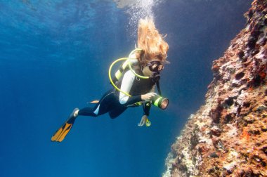 Scuba diver keşfetmek mercan