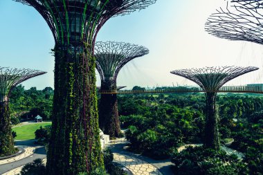 Bay Singapur tarafından supertrees