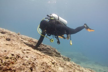 Scuba diver keşfetmek mercan