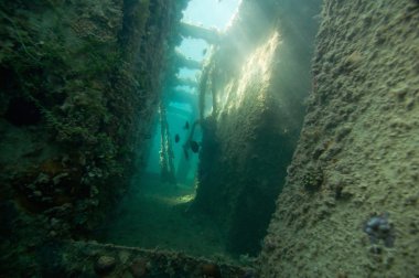 Ürkütücü batık koridor