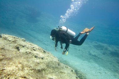 Scuba diver keşfetmek mercan