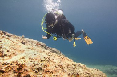 Scuba diver keşfetmek mercan