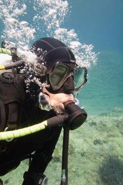 Dalgıç deniz yaşamı keşfetmek 