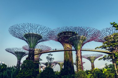 Bay Singapur tarafından supertrees