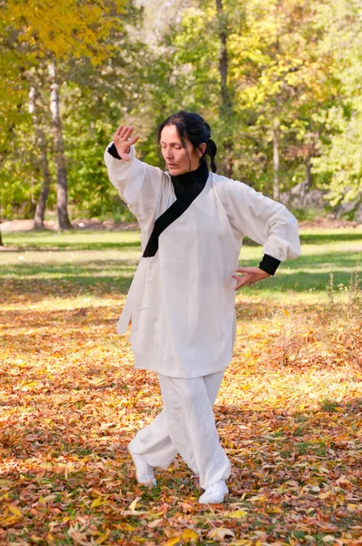 Женщина, практикующая Тай Чи в парке — стоковое фото