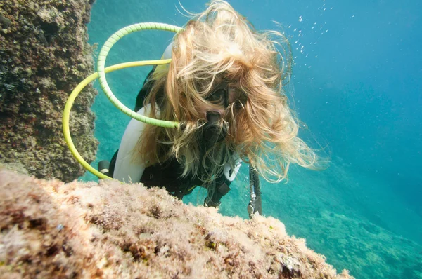 Buceador explorando arrecife de coral —  Fotos de Stock