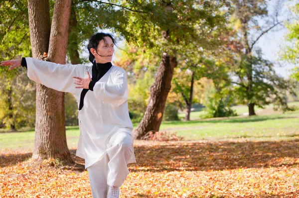 Kvinna som tränar Tai Chi i park — Stockfoto