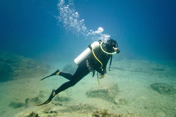 海洋生物を探検スキューバダイバー — ストック写真