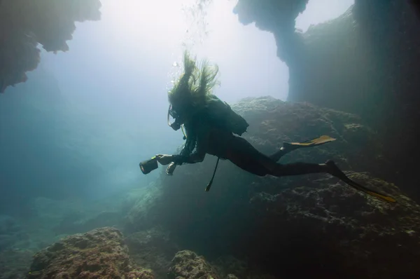 Buceador explorando la vida marina —  Fotos de Stock