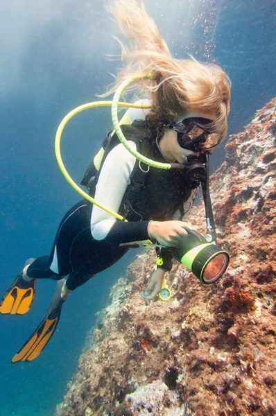 Buceador explorando arrecife de coral —  Fotos de Stock