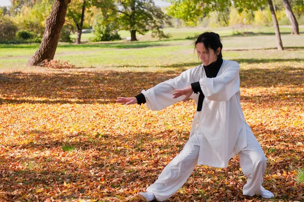 Mulher praticando Tai Chi no parque — Fotografia de Stock
