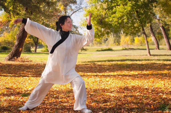 Mulher praticando Tai Chi no parque — Fotografia de Stock