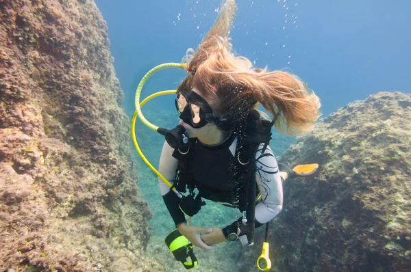 Scuba diver keşfetmek mercan — Stok fotoğraf