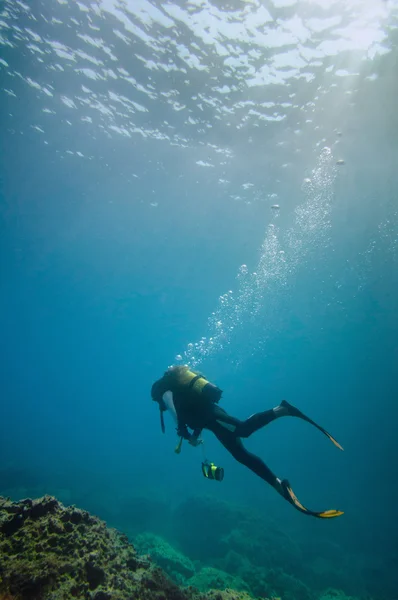 Buceador explorando la vida marina — Foto de Stock