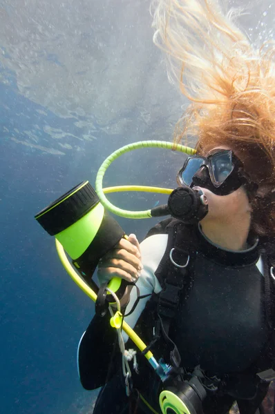 Buceador explorando la vida marina —  Fotos de Stock