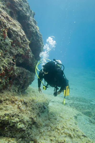 Scuba diver feltárása korallzátony — Stock Fotó