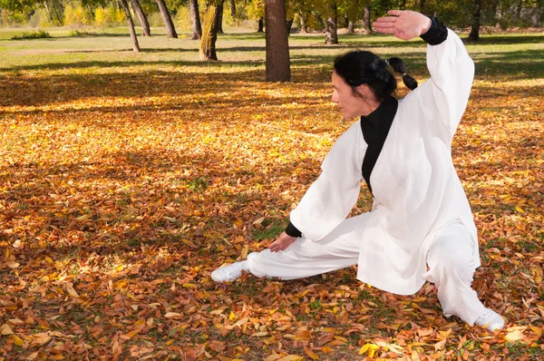 Vrouw het beoefenen van Tai Chi in park — Stockfoto