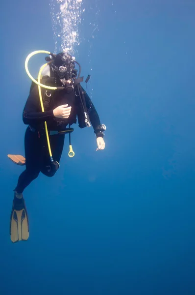 Scuba diver keşfetmek mercan — Stok fotoğraf