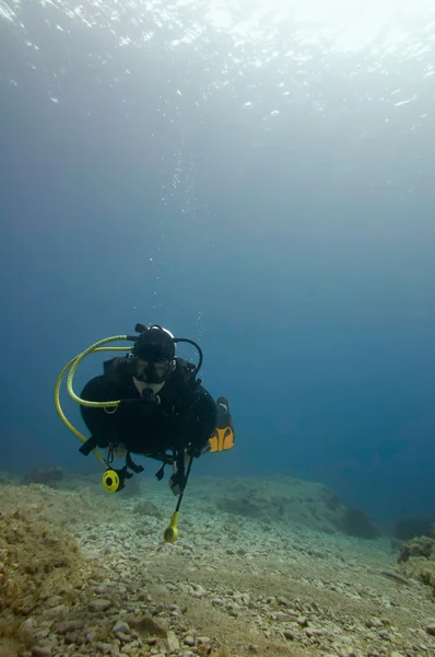 Immersione subacquea esplorando la barriera corallina — Foto Stock