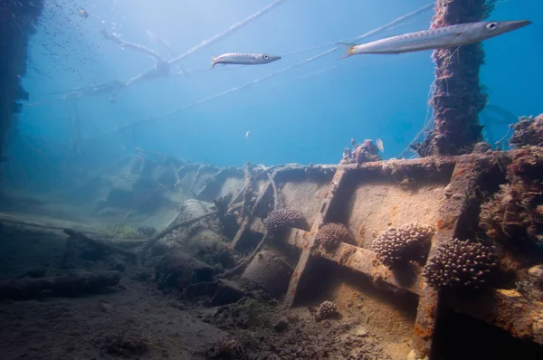 Ponte di naufragio incrostato di corallo — Foto Stock