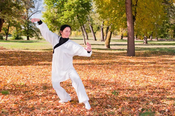 공원에서 태극권을 연습 하는 여자 — 스톡 사진