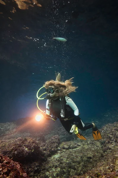 Scuba diver feltárása a tengeri élet — Stock Fotó