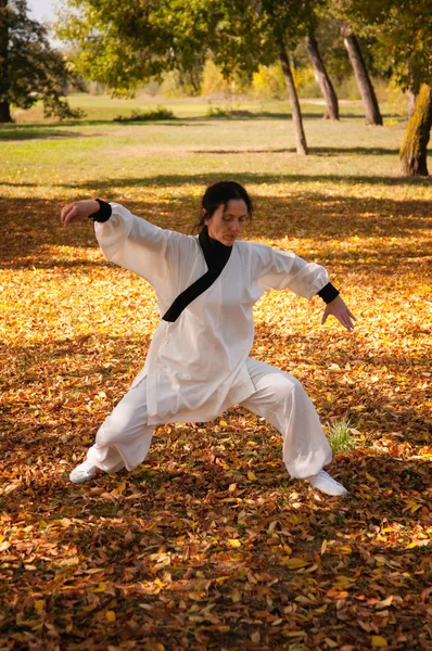 Kvinna som tränar Tai Chi i park — Stockfoto