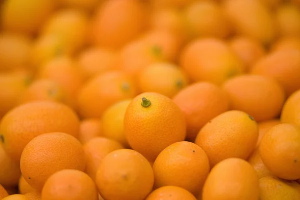 Rijp kumquat vruchten — Stockfoto