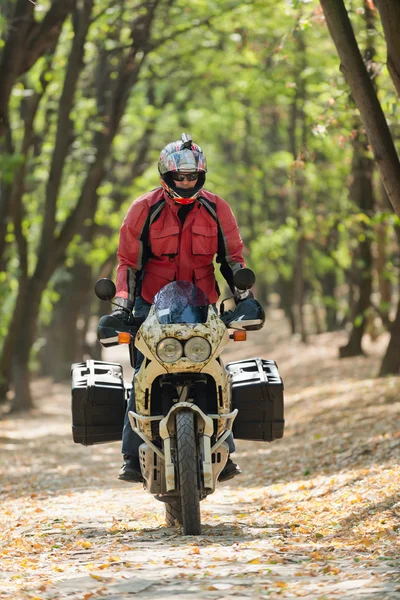 Motocyklový jezdec v lese — Stock fotografie