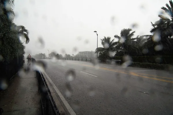 Βροχή κατά τη διάρκεια της τροπικής καταιγίδας — Φωτογραφία Αρχείου