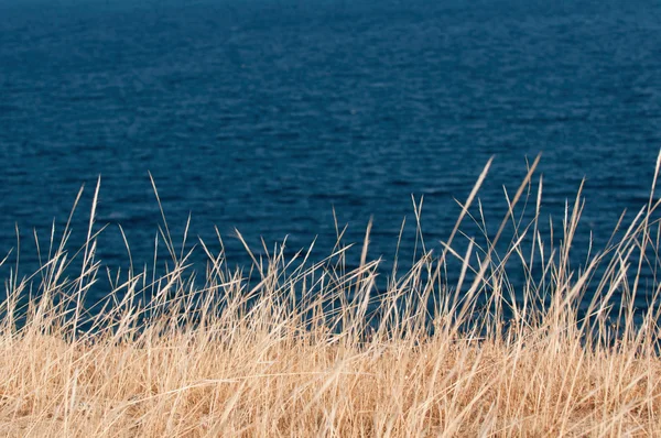 Hierba seca contra el mar —  Fotos de Stock