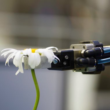Mekanik robot kol holding çiçek