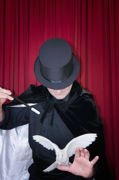 Magician care face truc cu porumbeii — Fotografie, imagine de stoc