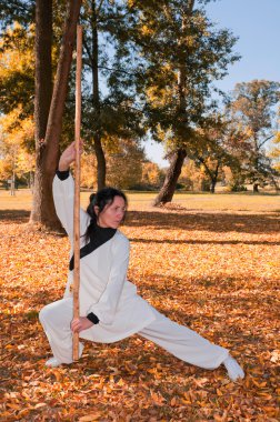 Kung Fu Ustası sopa ile