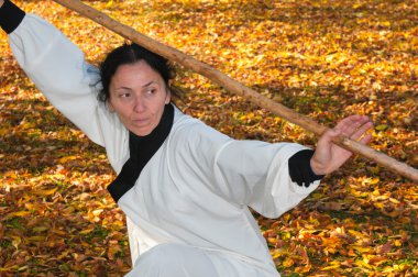Tai chi yapıyor kadın