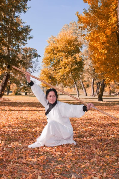 Kung Fu Master in defensieve houding — Stockfoto